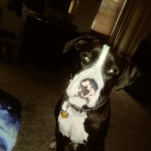 Meet your Posher, Mysty